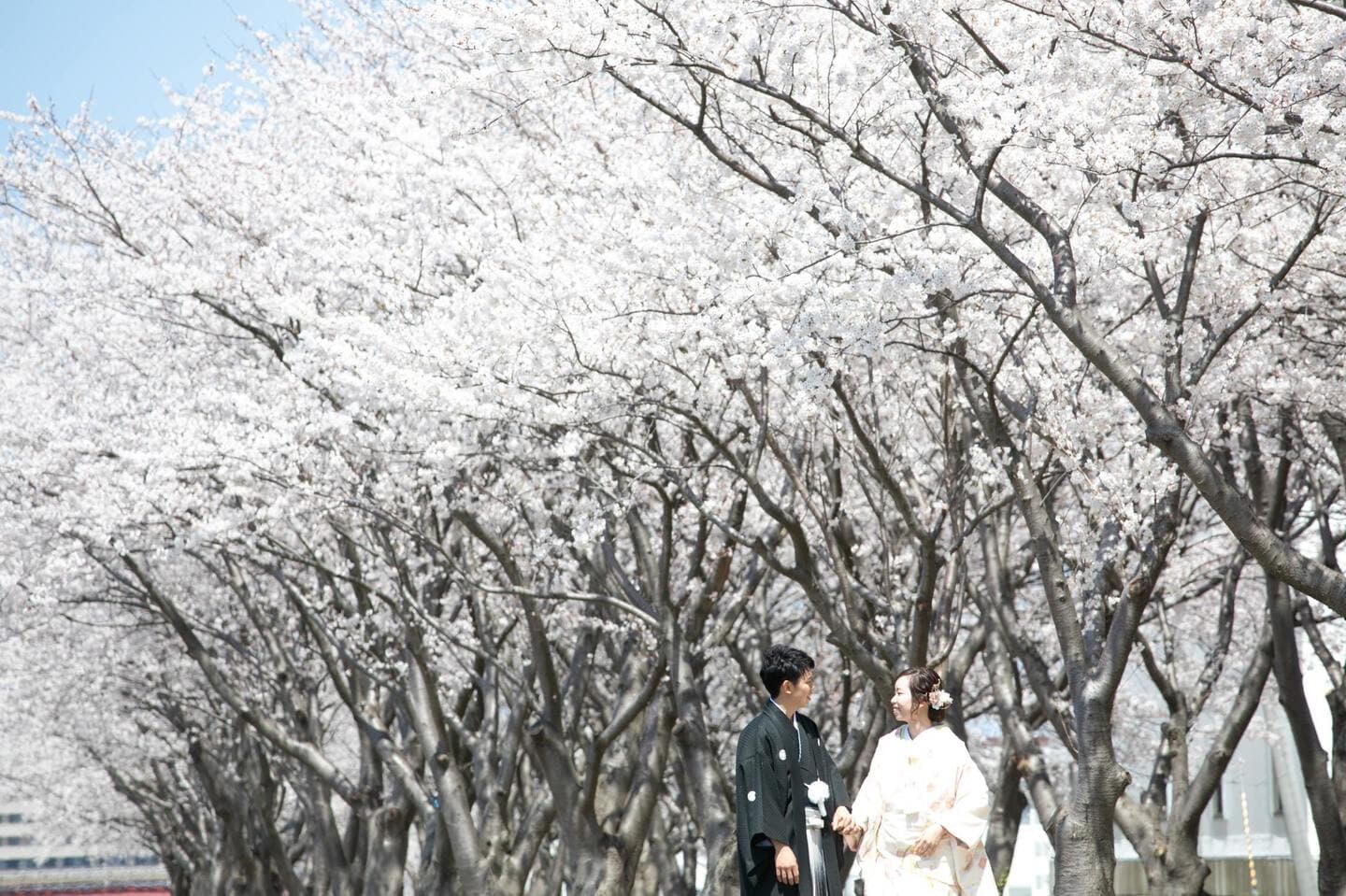 上越市　桜　結婚式前撮り　和装前撮り　フォトウェディング　白無垢　色打掛　フォトオフィスオーツー　アンジーメレ