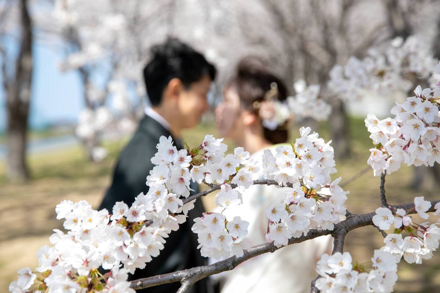 上越市　桜　結婚式前撮り　和装前撮り　フォトウェディング　白無垢　色打掛　フォトオフィスオーツー　アンジーメレ