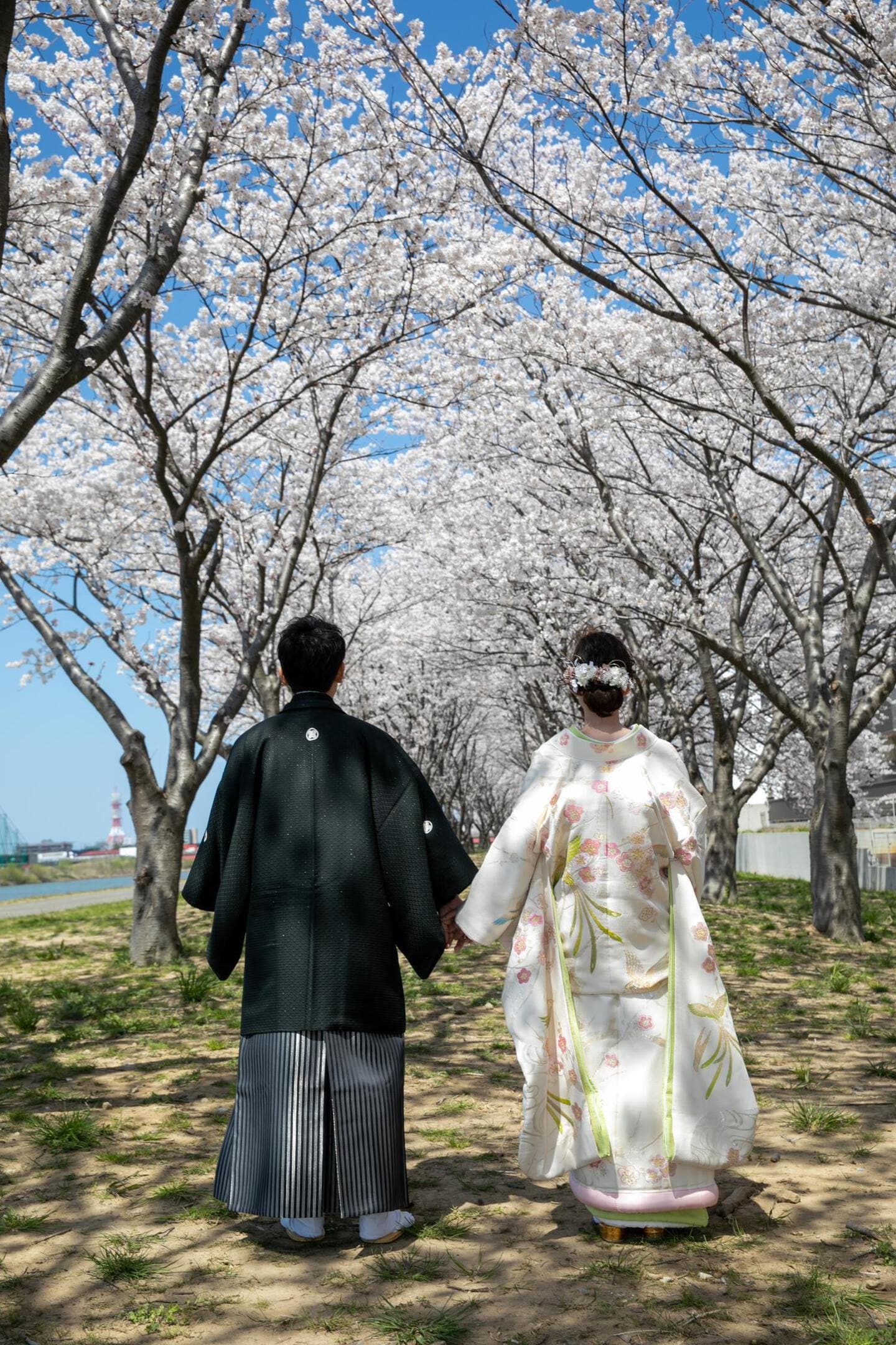 上越市 桜フォト 桜ウェディング 和装 結婚式前撮り フォトオフィスオーツー アンジーメレ