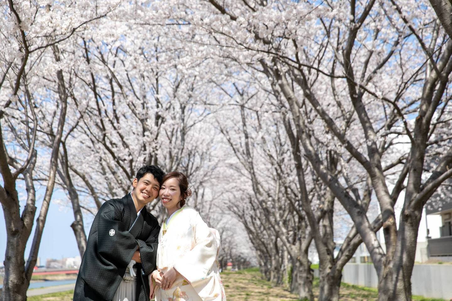 上越市　桜　結婚式前撮り　和装前撮り　フォトウェディング　白無垢　色打掛　フォトオフィスオーツー　アンジーメレ