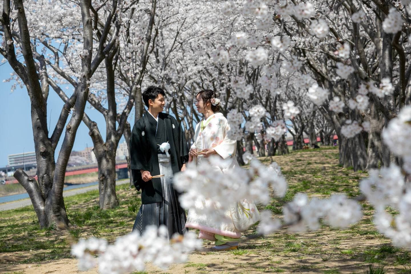 上越市　桜　結婚式前撮り　和装前撮り　フォトウェディング　白無垢　色打掛　フォトオフィスオーツー　アンジーメレ