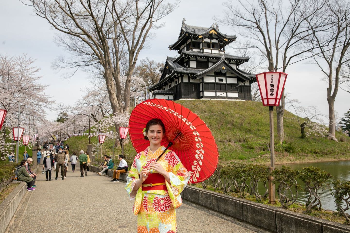 観光フォト 桜 観桜会 観光フォト 異文化体験 インバウンド 上越市 フォトオフィスオーツー 撮影